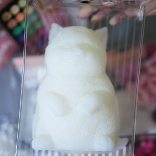 A02: The DIY Kit of Squishy Chubby Kitty(48 items included)