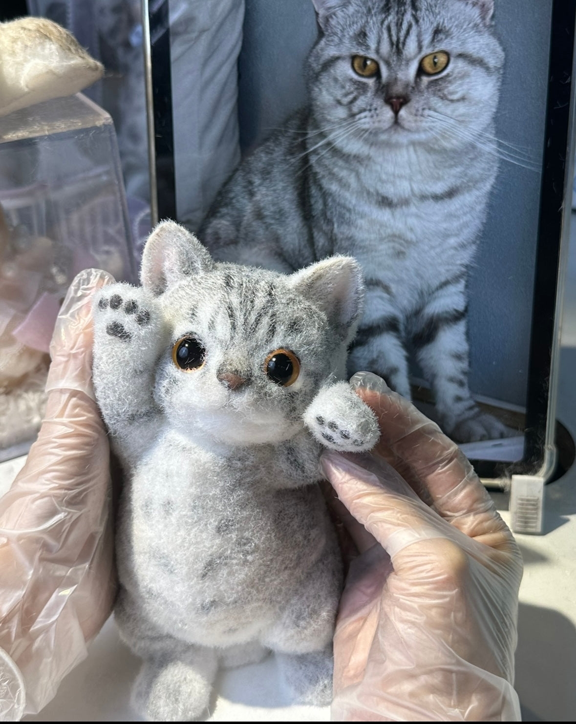 B19:Super Cute American Shorthair Squishy Cat