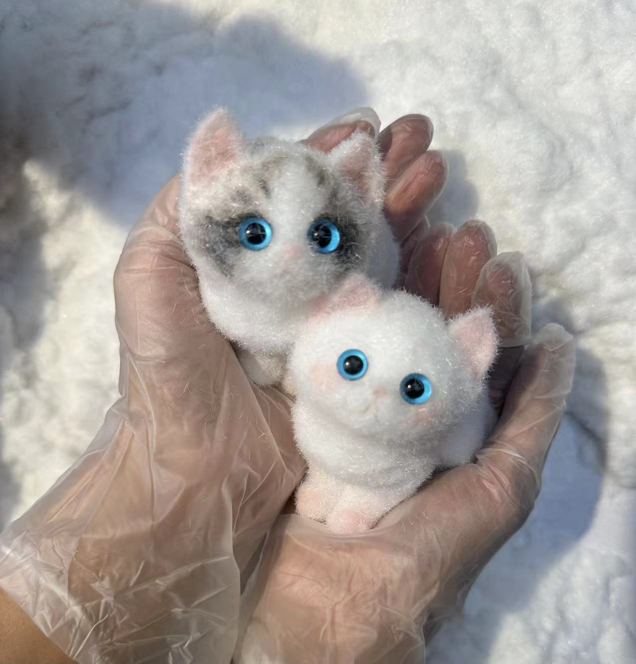 A0008:Pretty Blue-eyed Ragdoll Kitten