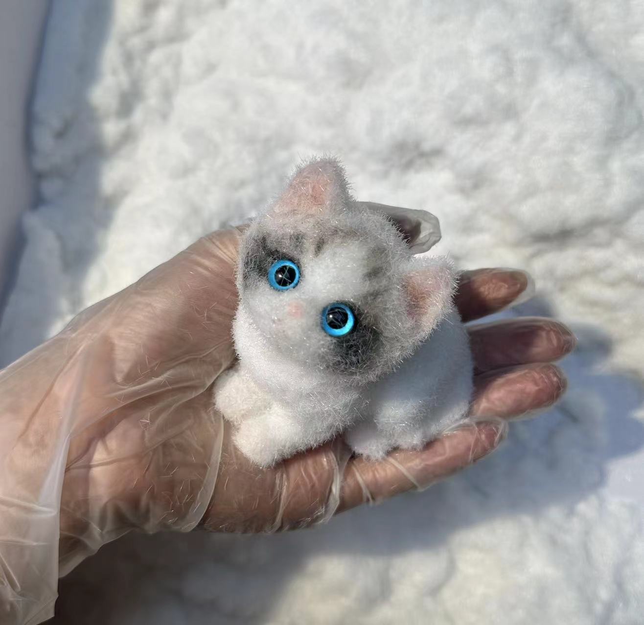 A0008:Pretty Blue-eyed Ragdoll Kitten