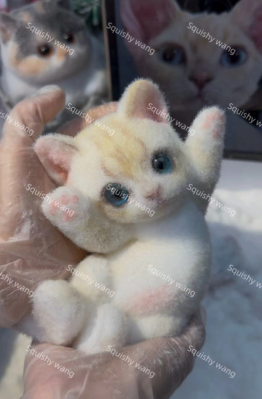 B02:Super Cute Golden Devon Cat