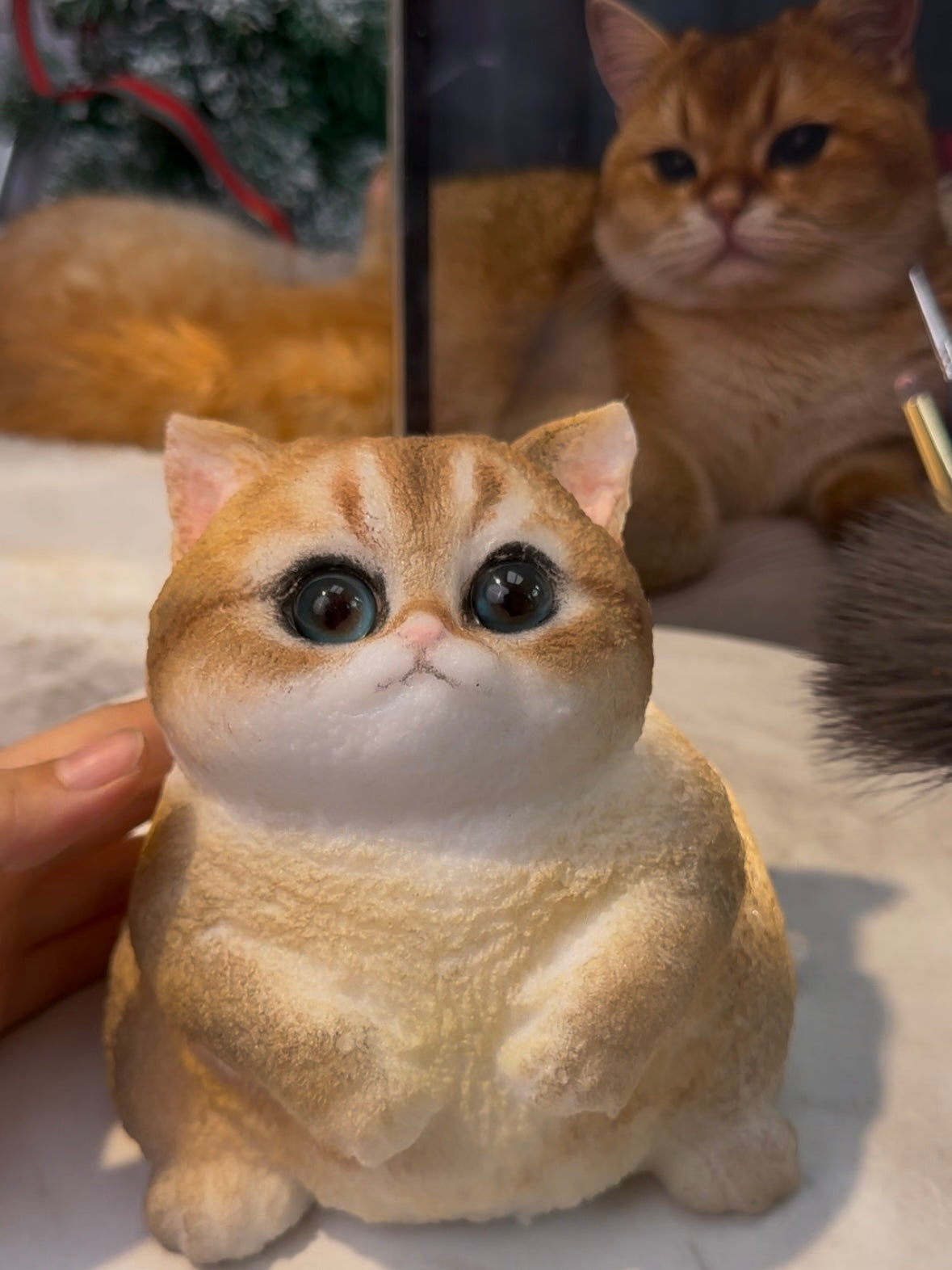 A00005:A Golden Gradient Fat Cat With Special Eyes.