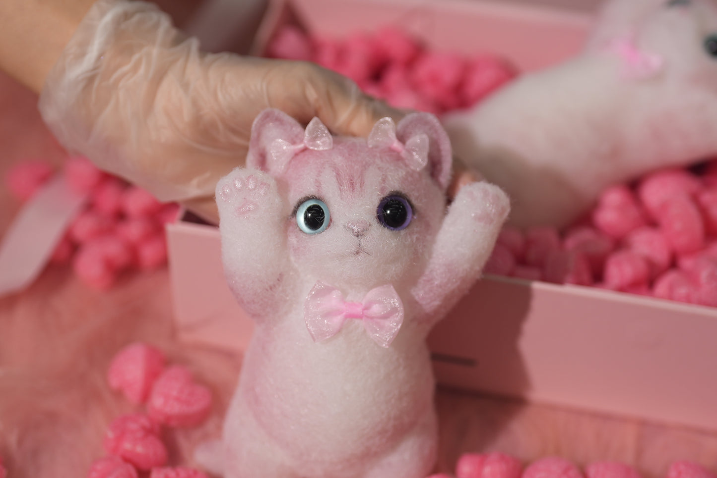 B09:Cute pink fluffy kitten