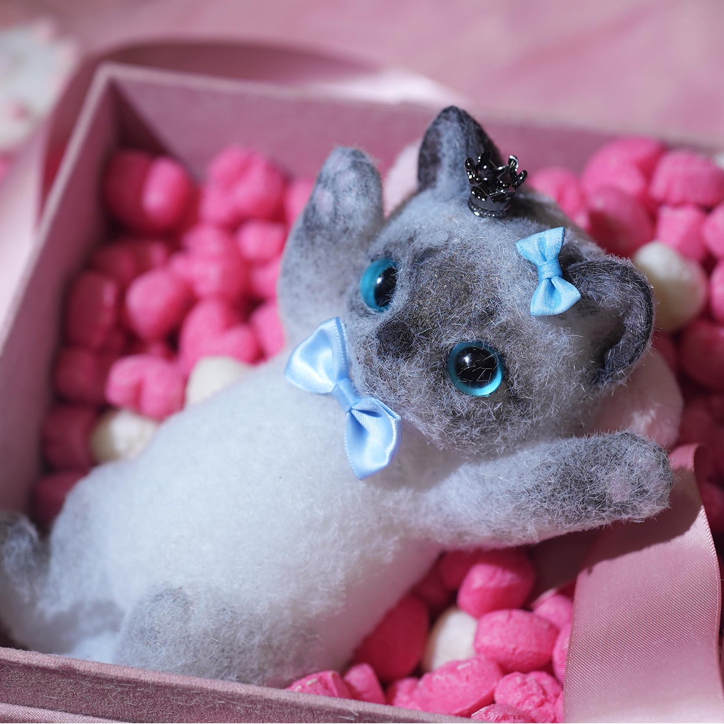 B12: Lovely Black and Gray Siamese with Blue Bow