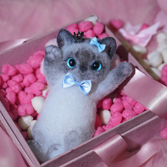 A00001: Lovely Black and Gray Siamese with Blue Bow