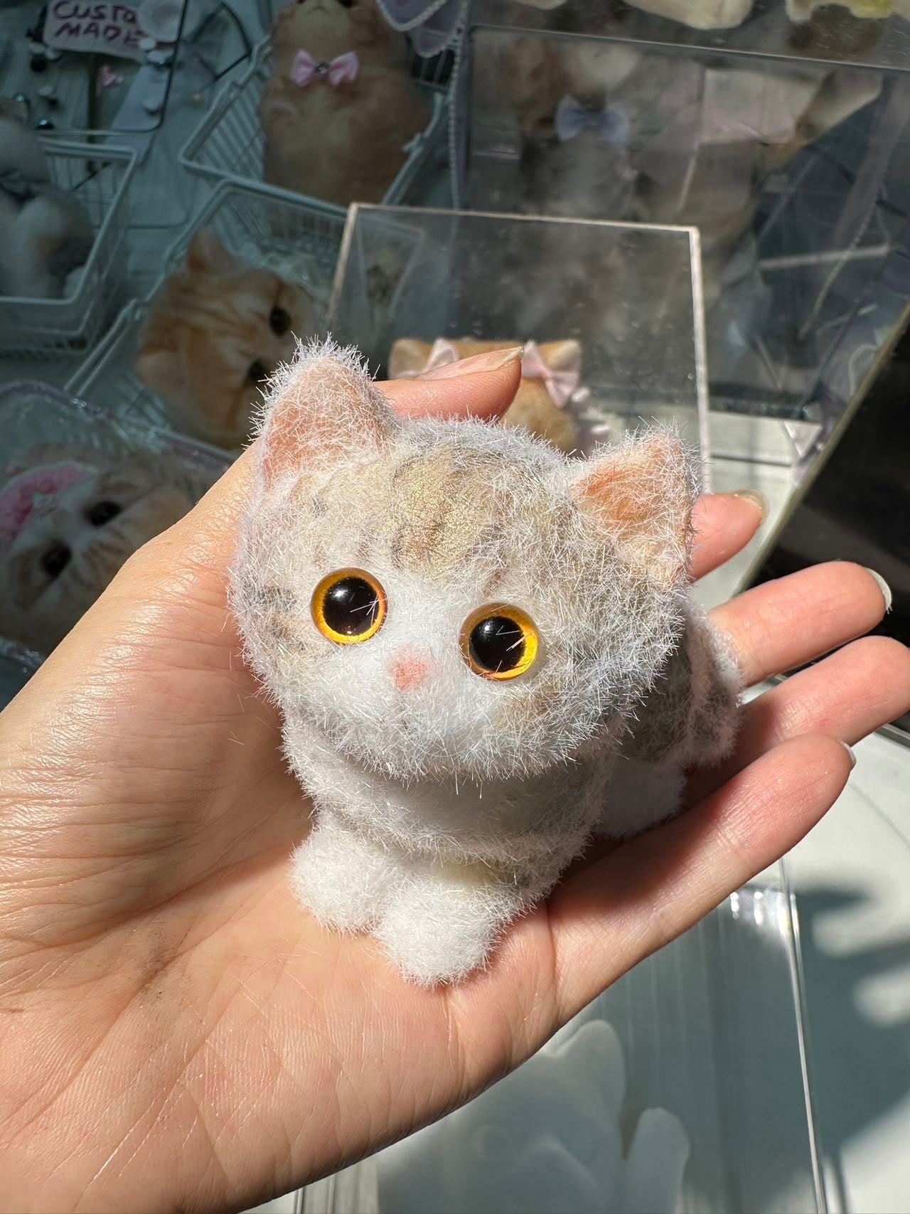 A0004: One small orange squishy cat with orange eyes