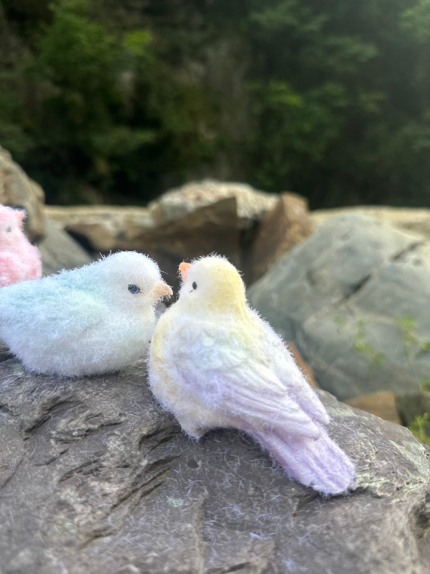 D10: TWO lovely Squishy Birds